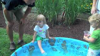presleys bug birthday party
