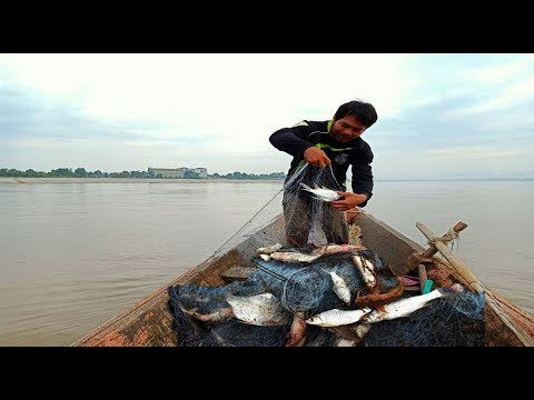 วีดีโอ: วิธีจับปลาในแม่น้ำ
