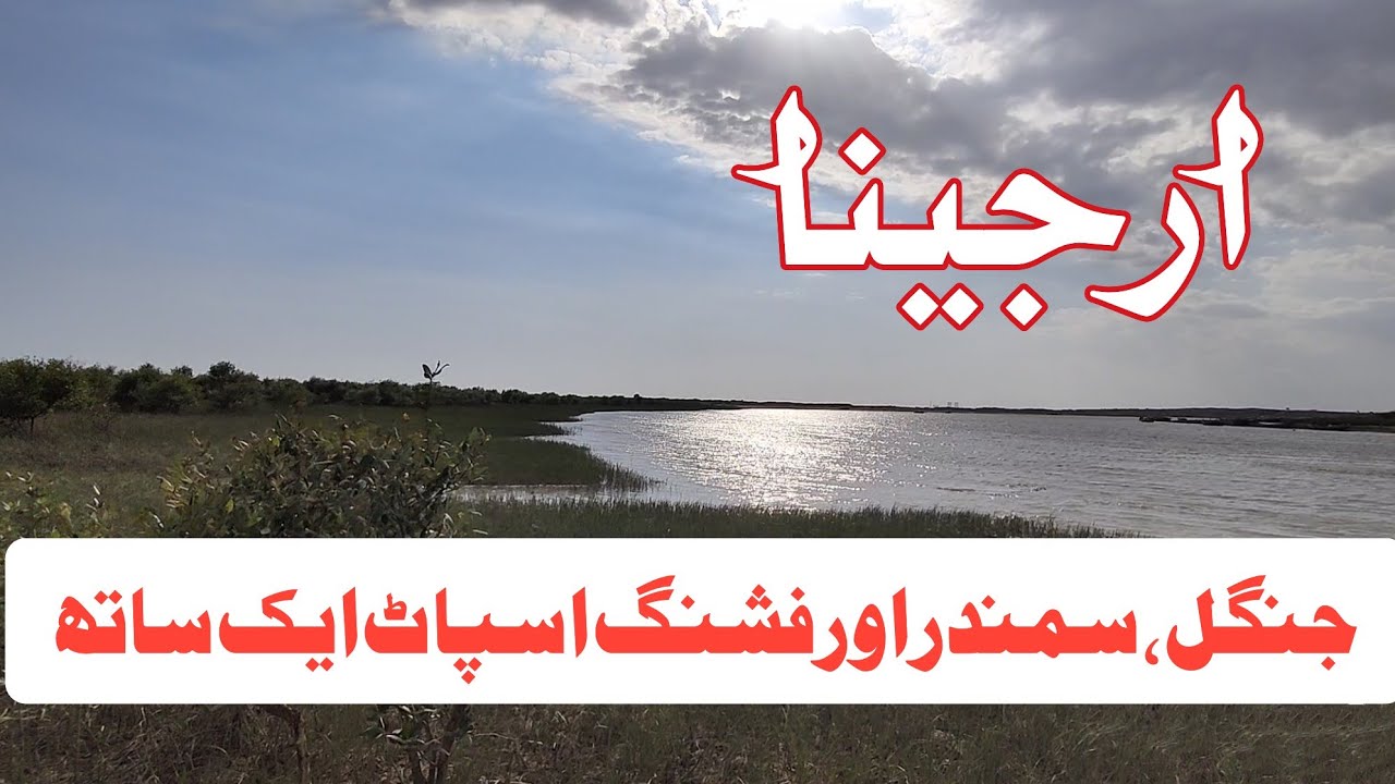 Arjina Fishing Spot Harjeena Gharo Creek Mangroves Forest arjina-fishing-spot-harjeena-gharo-creek-mangroves-forest