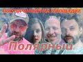 Полярный