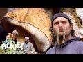 Brad Forages for Porcini Mushrooms | It's Alive | Bon Appétit