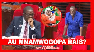 MBUNGE TABASAMU, 'TUNASHANGAA, KUNA UJENZI WA KIMAGUMASHI UNAENDELEA/ WAZIRI ANAJUA KAMPATA WAPI'