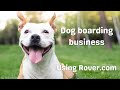How to start a dog boarding business from home part two should you use rover