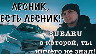 SUBARU FORESTER 2020. ПОЛНЫЙ ОБЗОР