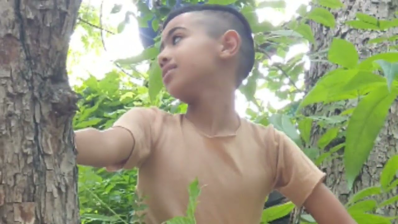 طفولة.com سندباد واصدقاؤه