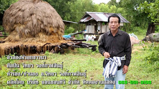 MV ลำล่องหัวอกชาวนา อาจารย์วิทยา วงศ์กาฬสินธุ์