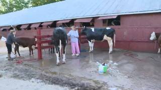 Everything you need to know about the 2026 Medina County Fair