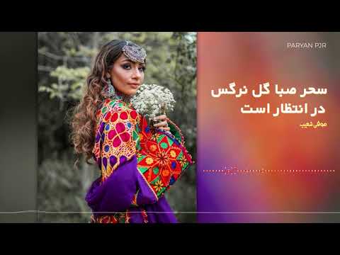 Sofi Shoaib سحر صبا گل نرگس در انتظار است صوفی شعیب