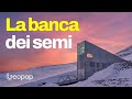 Cos'è la Banca Mondiale dei Semi delle isole Svalbard, il "piano B" per la sopravvivenza