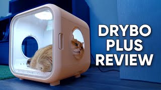 Homerunpet Drybo Plus Automatic Pet Dryer Box Review by Petopedia 154 views 3 months ago 5 minutes, 41 seconds