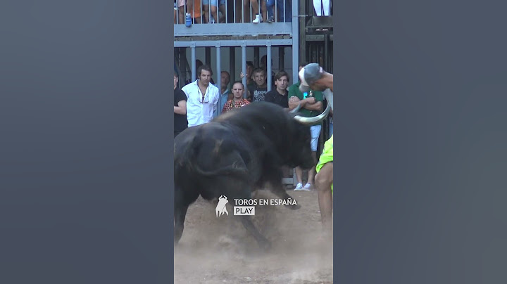 OTRO TORO AL QUE NO LE GUSTA NADA EL CAJÓN
