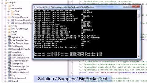 RakNet 4.0 Features Video