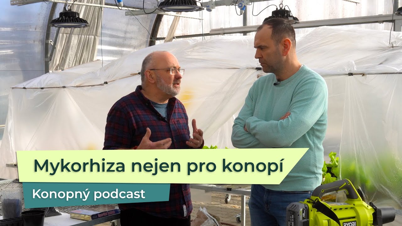 KP 55: O mykorhize nejen pro konopí s prof. Miroslavem Vosátkou
