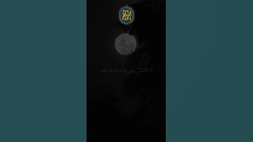 ❤️ تلاوة هادئة بصوت الشيخ ماهر المعيقلي ارح سمعك #27