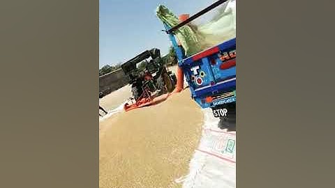 Grain loaders, for more details call 9099911321