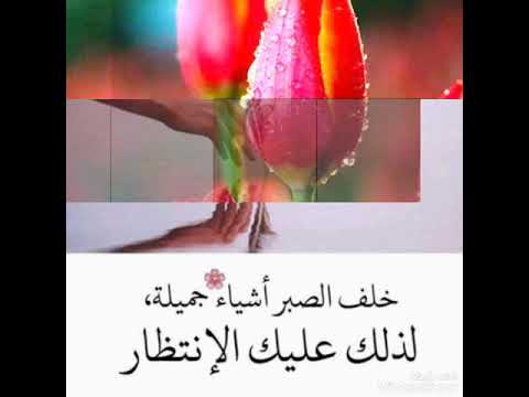 مساء الماس لاغلى الناس