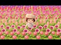 The Island with the Reddit Famous Flower Field | Animal Crossing New Horizons 5 Star Island Tour