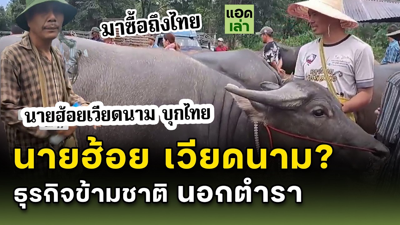 นายฮ้อยเวียดนาม ในไทย?!  ธุรกิจข้ามชาติ ที่เรา...แทบไม่เคยรู้จัก