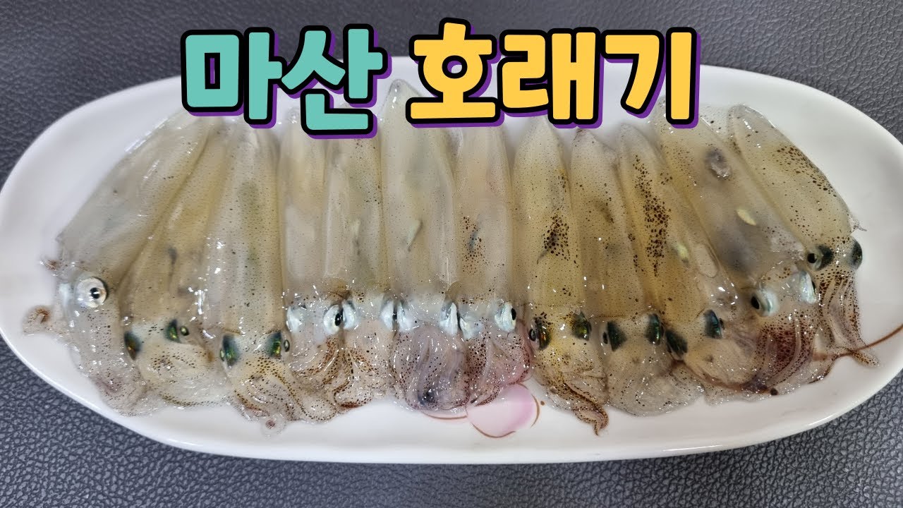 방파제 호래기낚시~ - YouTube
