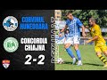 Corvinul Hunedoara Concordia goals and highlights