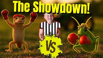 🐸 Gecko vs Grasshopper 🦗 The Ultimate Boxing Showdown!