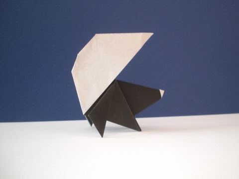 Origamianleitung Stinktier