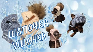 картинка: Шапочка ушанка для собак