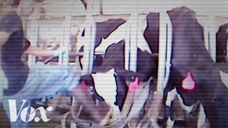 What undercover videos tell us about meat in America What undercover videos tell us about meat in America