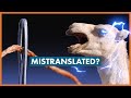 The camel and needle did scholars mistranslate jesuss famous saying