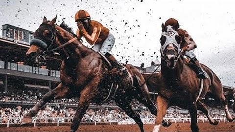 Wolves //Horse racing music video