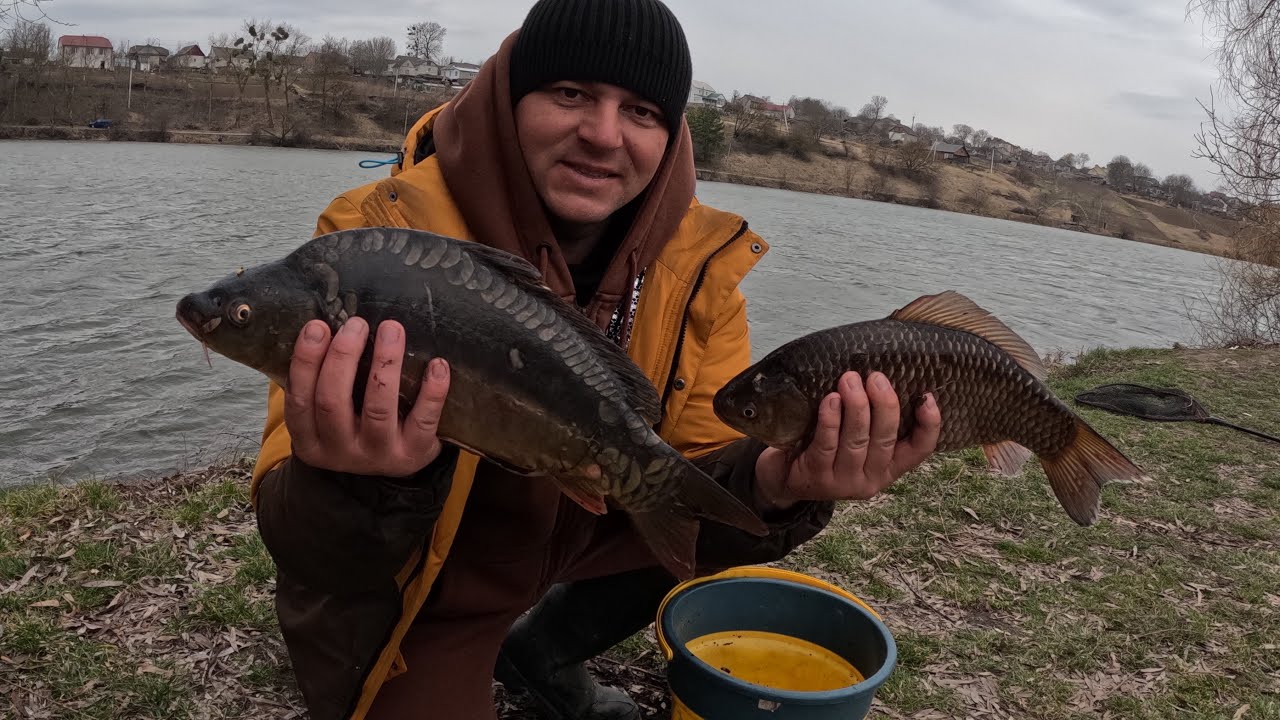 Кілограмові карасі на фідер