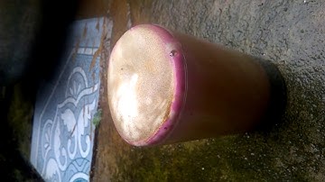 Thí nghiệm vui với thuốc tím: H2O2 + KMnO4 + Nước rửa bát