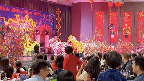 Ly Rượu Mừng - Mừng Xuân Giáp Thìn 2024 - Lunar New Year - Year of the Gragon Celebration