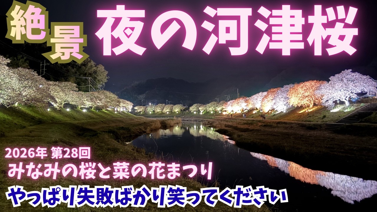 【河津桜】絶景・第28回みなみの桜と菜の花まつりに、キャンピングカーで行く、夜の河津桜が素敵でしたが、失敗続きでした。
