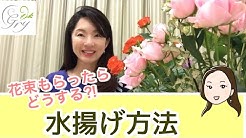 花のコンシェルジュ兵藤由花 Youtube