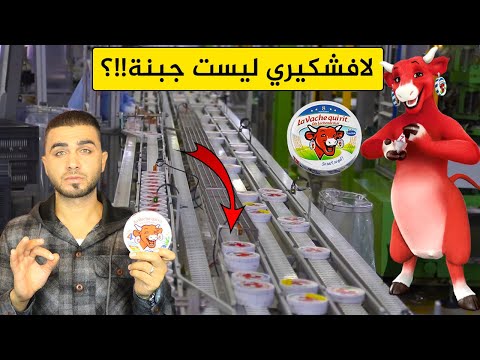 فيديو: كل ما تحتاج لمعرفته حول مقاطعة كيري