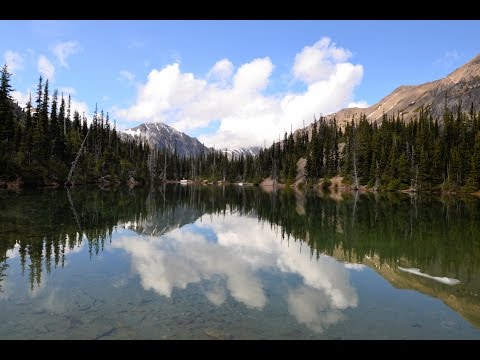 Video: Een gids voor Olympic National Park