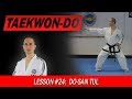 Dosan tul  taekwondo lesson 24