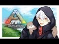 【 ARK 】調達【 アークサバイバル 】