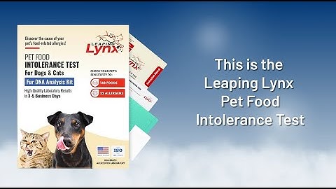 Leaping Lynx Pet Food Intolerance Test Intro Video