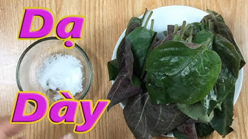 Đau dạ dày nặng đến mấy cũng khỏi dứt điểm chỉ bằng 1 nắm lá này [cách chữa bệnh đau dạ dày]