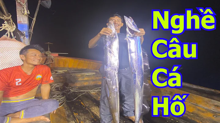 Top 20 cá hố là cá gì