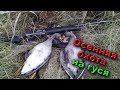 Осенняя охота на гусей | Autumn goose hunting