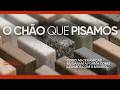 O CHÃO que PISAMOS | Um Exemplo de TEIMOSIA HUMANA