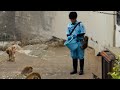 【6月4日】お昼ご飯のパンチ君🐵Punchmonkey
