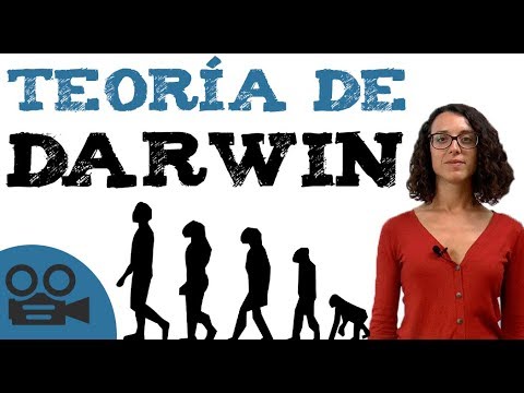 Vídeo: Què és un professor darwinista?