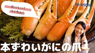 贅沢に本ずわいの爪だけを集めました！食べやすいように殻には切れ目を入れボイル済み！解凍してすぐにお召し上がりいただけます！ ～【計1kg(計36～50本)　】本ずわいがにの爪　(500g×2p)～