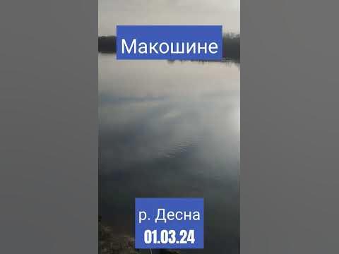 #десна #річка #весна #війна #україна #чернігівщина #природа #красота ...