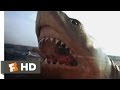 Jaws: The Revenge (3/8) Movie CLIP - You Got 'Im (1987) HD