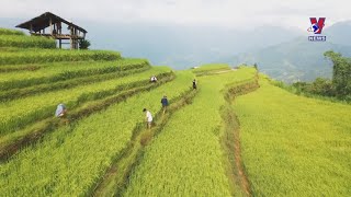 Vietnam intensifies tourism promotion to attract foreign visitors
